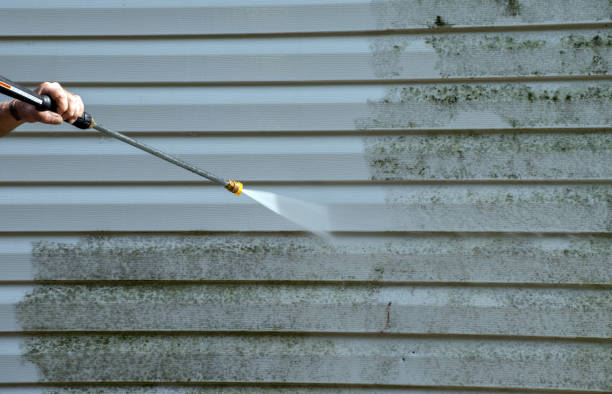 Best Deck Pressure Washing  in Swansea, IL