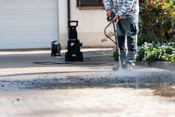 Best Roof Pressure Washing  in Swansea, IL