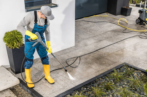 Best House Pressure Washing  in Swansea, IL