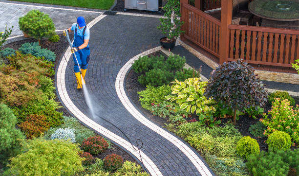 Best Pressure Washing Driveway  in Swansea, IL