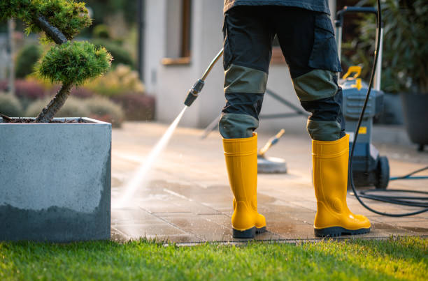 Best Sidewalk Pressure Washing  in Swansea, IL